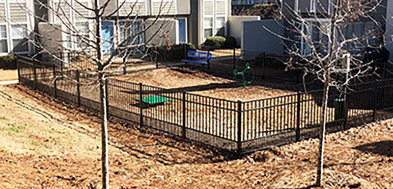 Project Bark Park
