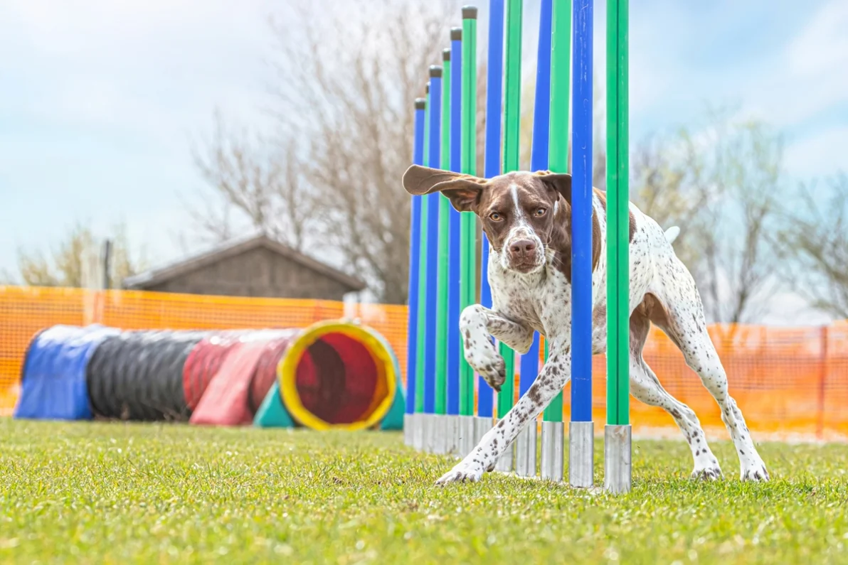 The Best Time to Build? Why Spring Is Ideal for Outdoor Projects