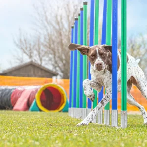 The Best Time to Build? Why Spring Is Ideal for Outdoor Projects